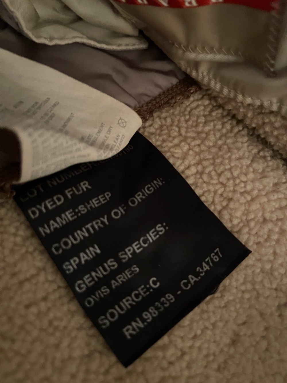 Prada Leather & Shearling Jacket - Picture 9 of 9